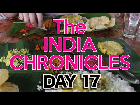 Food in Southern Indian: Thalis, Chapattis, Dosas, OH MY!