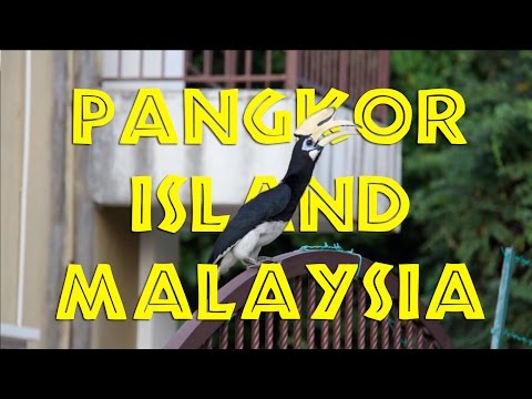 Pangkor Island, Malaysia: AWESOME! – and then some!