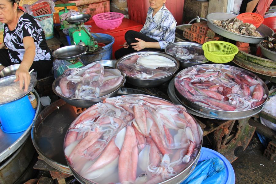 selling squid at ben tre, vietnam market
