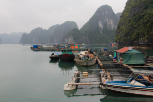 Lan Ha Bay Vietnam