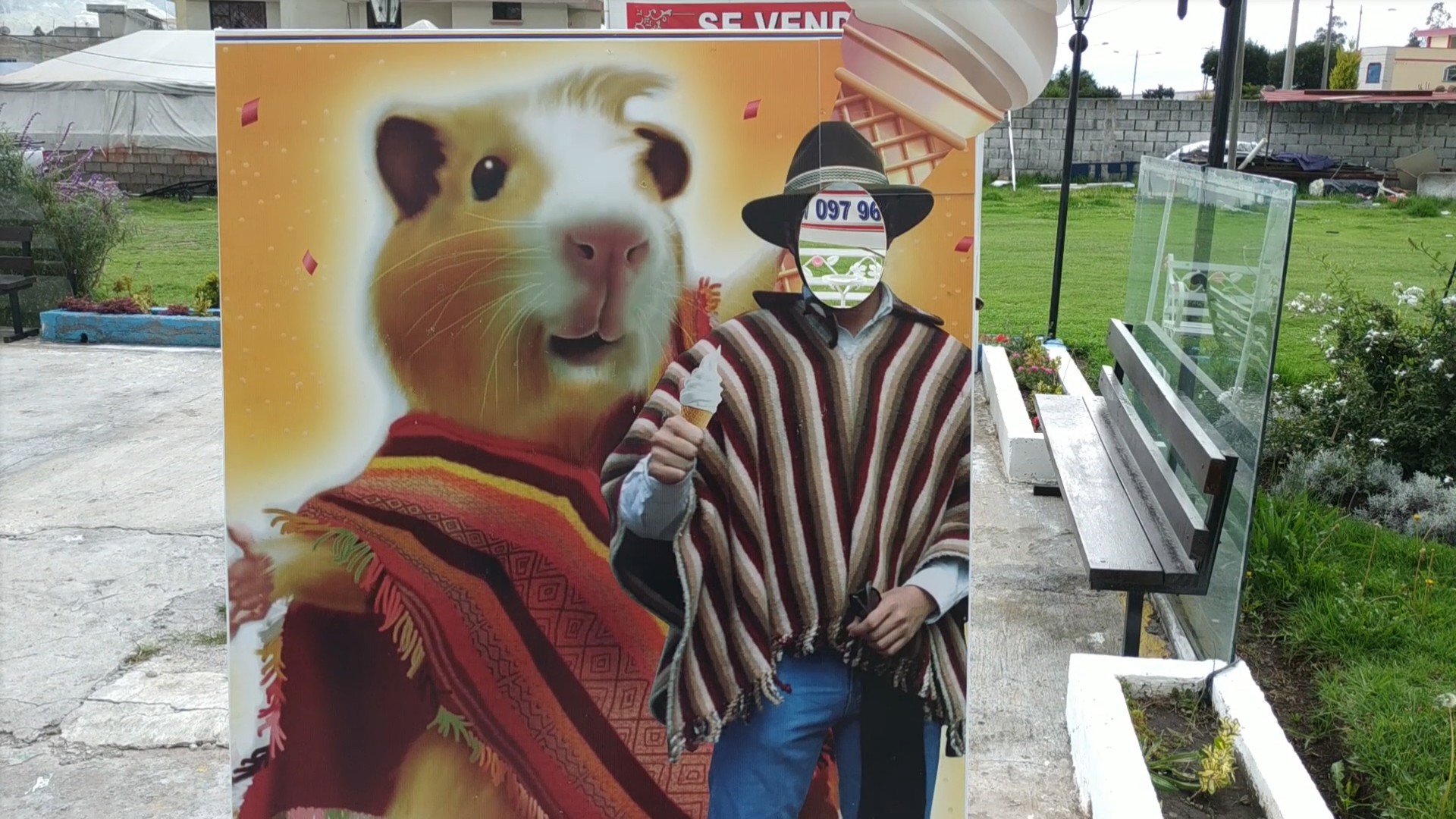 View of Guinea Pig Ice Cream in Ecuador. Seriously. It’s made with Guinea Pig.