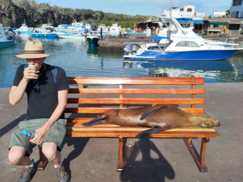 sea lion and galapagos tourist